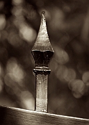 Wall_Art_Alphabet_Photography_Art_ 864